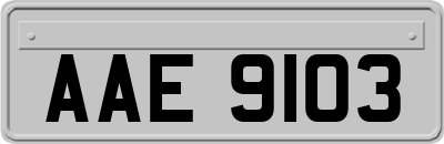 AAE9103