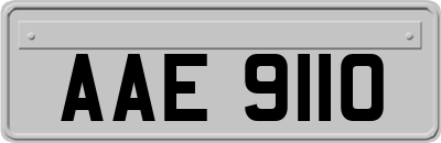 AAE9110