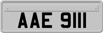 AAE9111