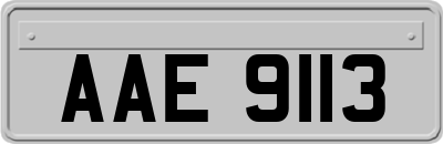 AAE9113