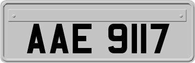 AAE9117