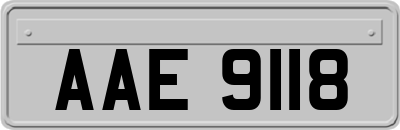 AAE9118