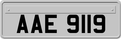 AAE9119