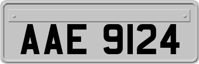 AAE9124