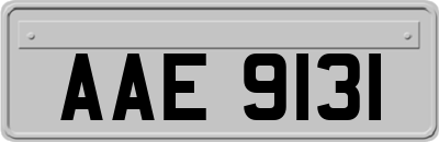 AAE9131