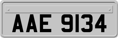 AAE9134