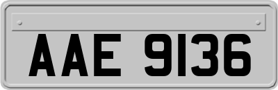 AAE9136