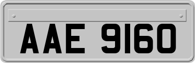 AAE9160