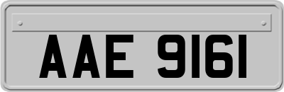 AAE9161