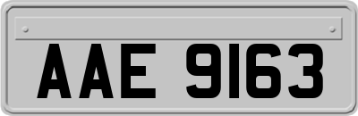 AAE9163