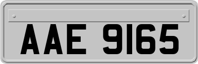 AAE9165