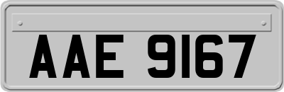 AAE9167