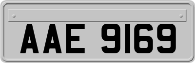 AAE9169