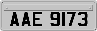 AAE9173