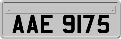 AAE9175