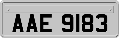 AAE9183