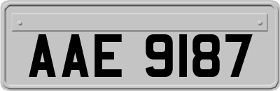 AAE9187