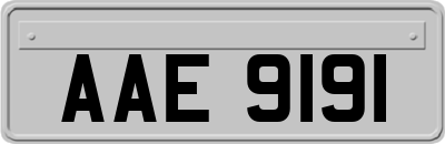 AAE9191