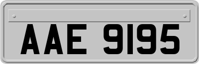 AAE9195