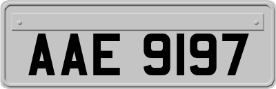 AAE9197