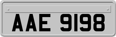 AAE9198