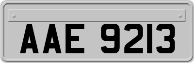 AAE9213