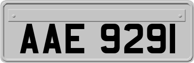 AAE9291