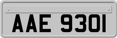 AAE9301