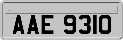 AAE9310