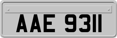AAE9311