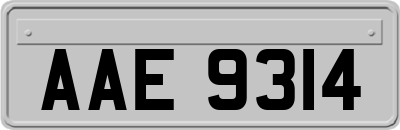 AAE9314