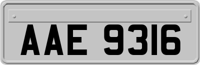 AAE9316