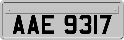 AAE9317