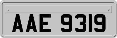 AAE9319