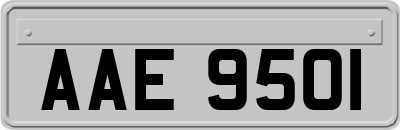 AAE9501