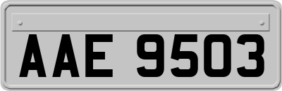 AAE9503