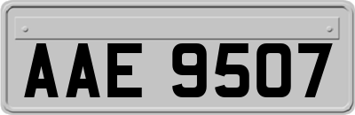 AAE9507