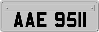 AAE9511