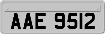 AAE9512