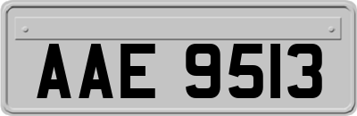 AAE9513