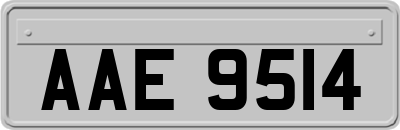 AAE9514