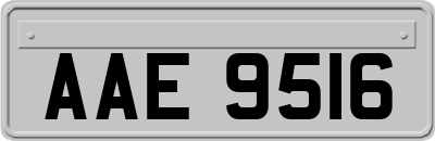 AAE9516