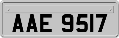 AAE9517