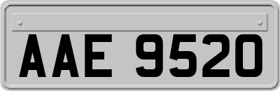 AAE9520