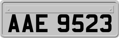 AAE9523