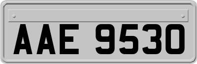 AAE9530