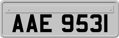 AAE9531