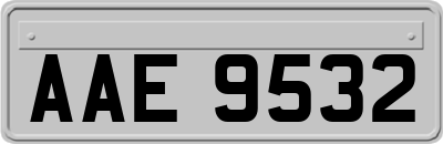 AAE9532