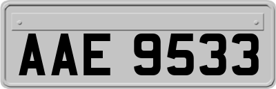 AAE9533