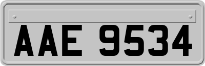 AAE9534